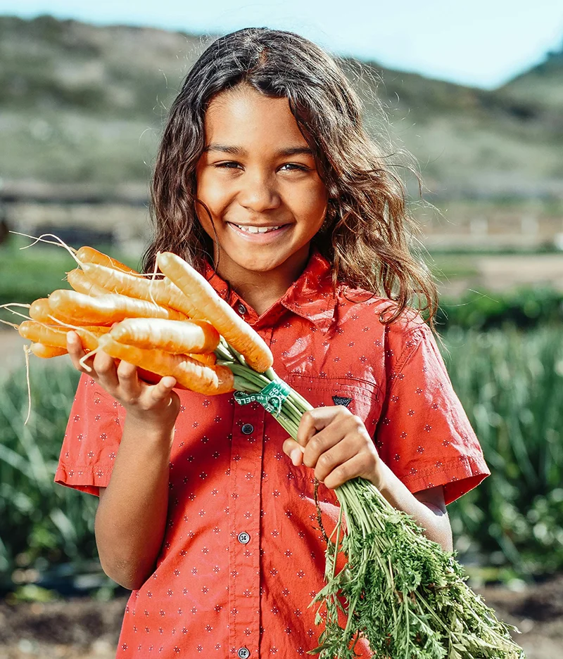 Servicios Fresh Fruit