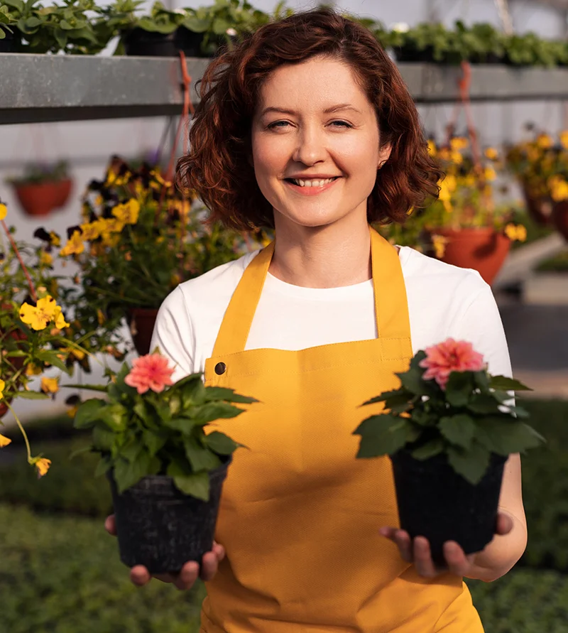 Conoce Fresh Fruit SP