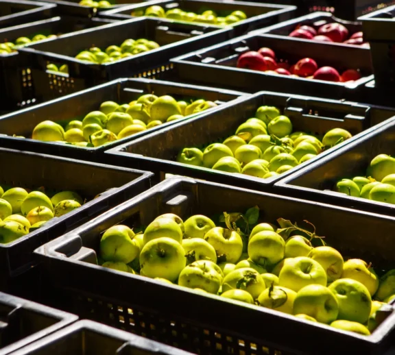 Mantenemos la cadena de frío, consolidamos cargas en Almería y Barcelona y coordinamos salidas nacionales e internacionales.