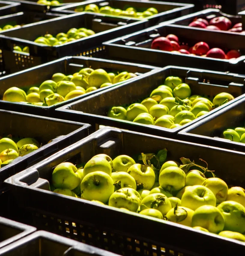 Trabaja con Nosotros