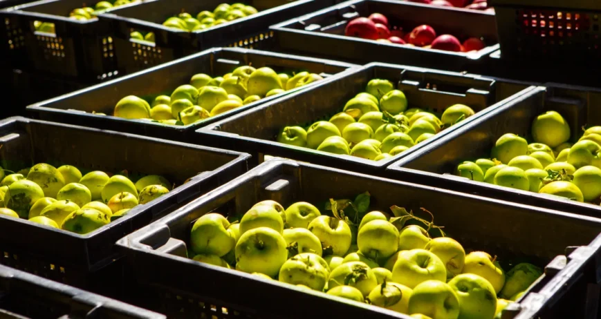 Mantenemos la cadena de frío, consolidamos cargas en Almería y Barcelona y coordinamos salidas nacionales e internacionales.