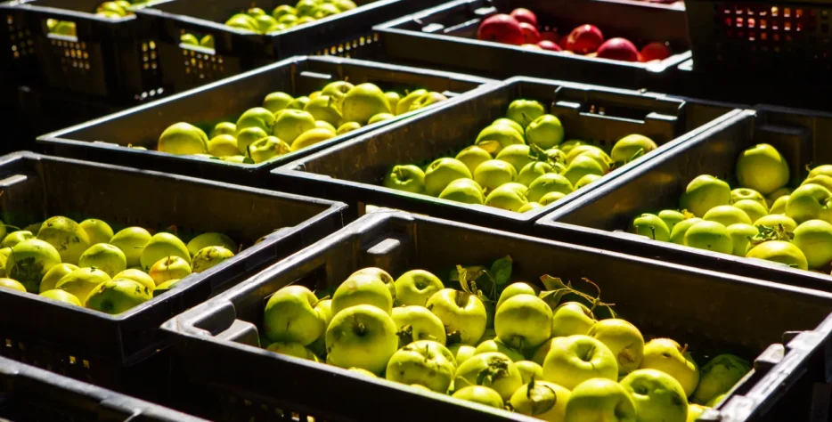 Mantenemos la cadena de frío, consolidamos cargas en Almería y Barcelona y coordinamos salidas nacionales e internacionales.