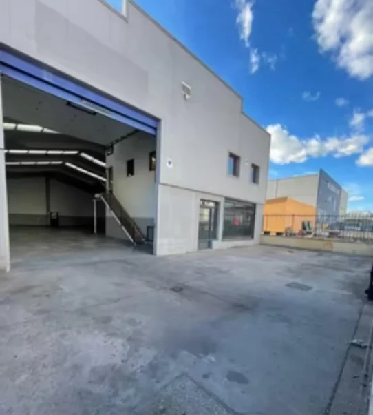 Servicios Fresh Fruit