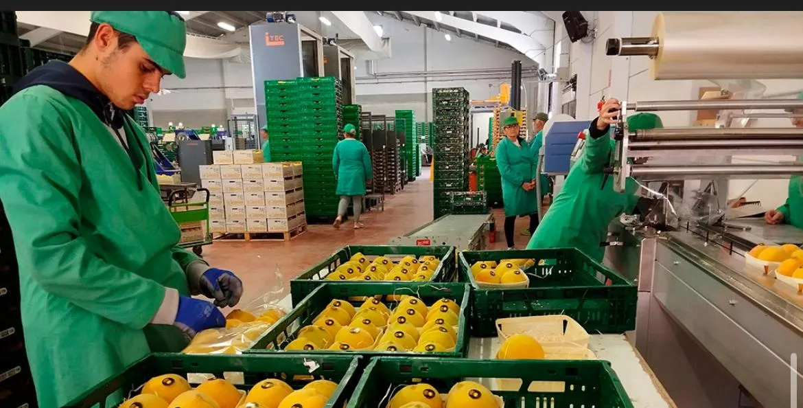 El valor de la trazabilidad en el cultivo y la logística de fruta El valor de la trazabilidad en el cultivo y la logística de fruta