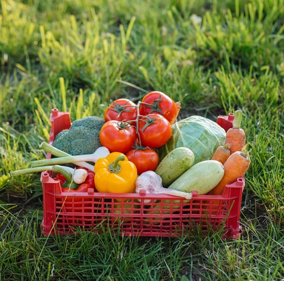 La combinación de Almería y Barcelona nos permite mantener una oferta constante, adaptarnos a los cambios de demanda y responder con rapidez a las necesidades de nuestros clientes. Cultivar en dos zonas tan complementarias garantiza disponibilidad, frescura y calidad en cada envío.